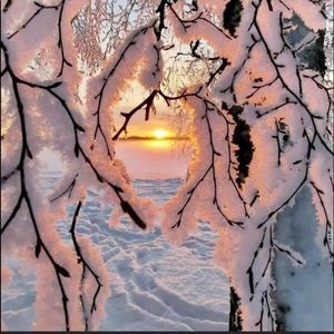 My Friend Dani❣️